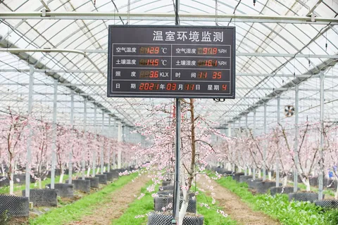 智慧温室大棚系统：现代农业的未来