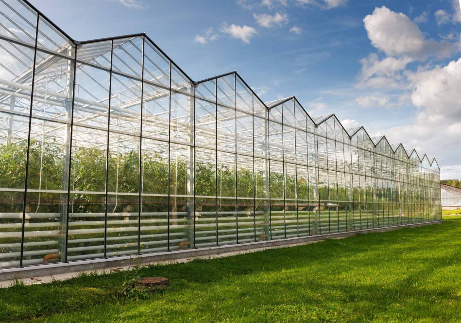 智慧温室大棚系统：现代农业的未来插图2