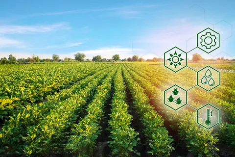 ChatGPT与农业：重塑农业生产与管理的未来