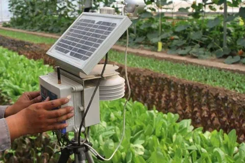 未来农业技术进步：走向智慧与可持续