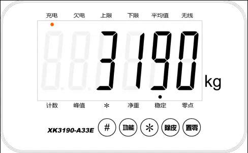 RS485通讯地磅秤Modbus RTU协议产品说明书插图