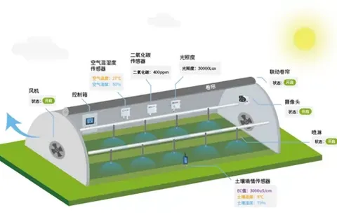 薄膜连栋温室大棚智能监控系统