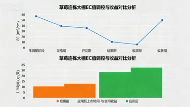 智慧农业整体解决方案：从感知到决策的全流程升级插图12
