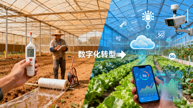 智慧农业云平台：全场景数字化管理解决方案插图