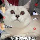 用户列表插图13