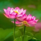 用户列表插图23