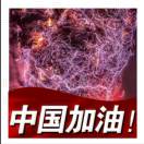 用户列表插图9