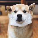 用户列表插图13