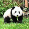用户列表插图17