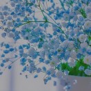 用户列表插图23