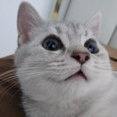 用户列表插图13