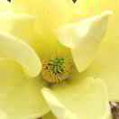 用户列表插图1