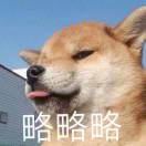 十点就睡觉的头像