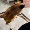 的头像
