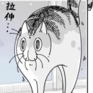 用户列表插图19