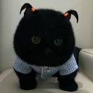 全村的希望🤩的头像