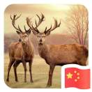 用户列表插图21
