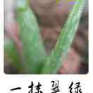 用户列表插图3