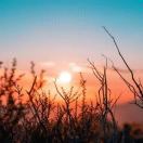 Imaging丶 ♥的头像