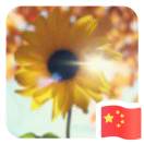 用户列表插图9