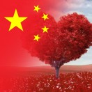 用户列表插图13