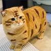 用户列表插图9