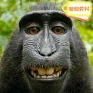 用户列表插图19