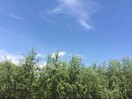 用户列表插图1